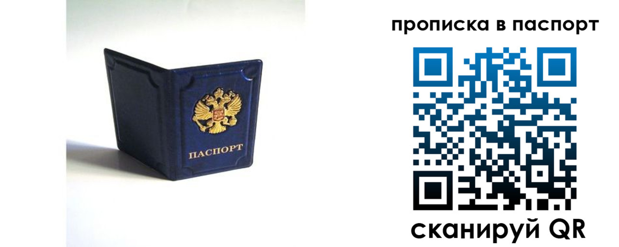 временная регистрация гарантия в Опочке